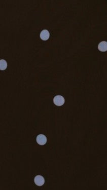Cataleya Maxi Dress - Brown/Blue Polka Dot