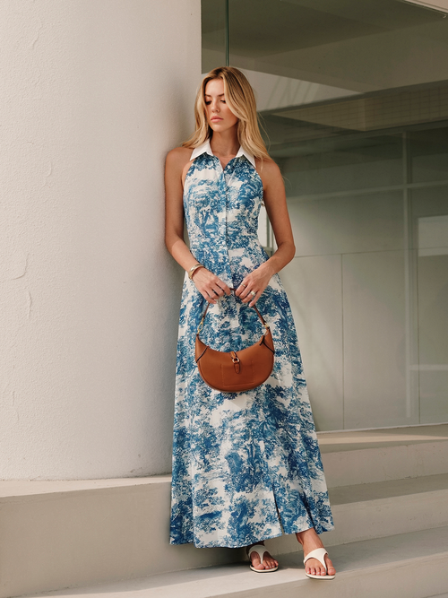 Toile Print Buttoned Collared Maxi Dress