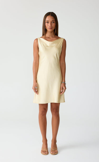 Springtime Mini Dress (Lemon)